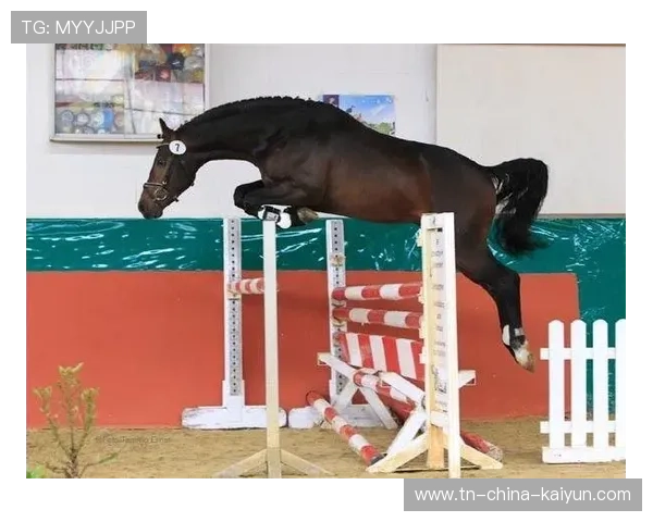 美国骑手马库斯·奥尔洛布在巴黎奥运会上与“Jane”马匹共同参赛,尽管因马匹受伤被迫退出,但展现了坚强意志。 美国骑手马库斯·奥尔洛布在巴黎奥运会上与“Jane”马匹共同参赛,尽管因马匹受伤被迫退出,但展现了坚强意志。